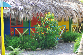 kite camp cottages in cabarete