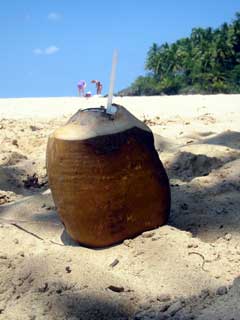 Playa Grande - einer der sch&ouml;nsten Str&auml;nde der Karibik - 1h von Cabarete entfernt