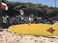 Urlaub Karibik Cabarete FAQ Surfen