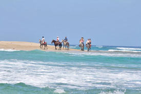horseback riding in cabarete