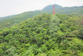 national park isabela de torres in  puerto plata