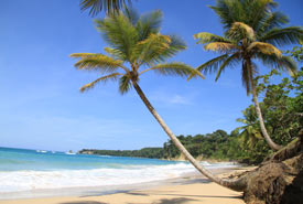 playa grande surf and beach trip